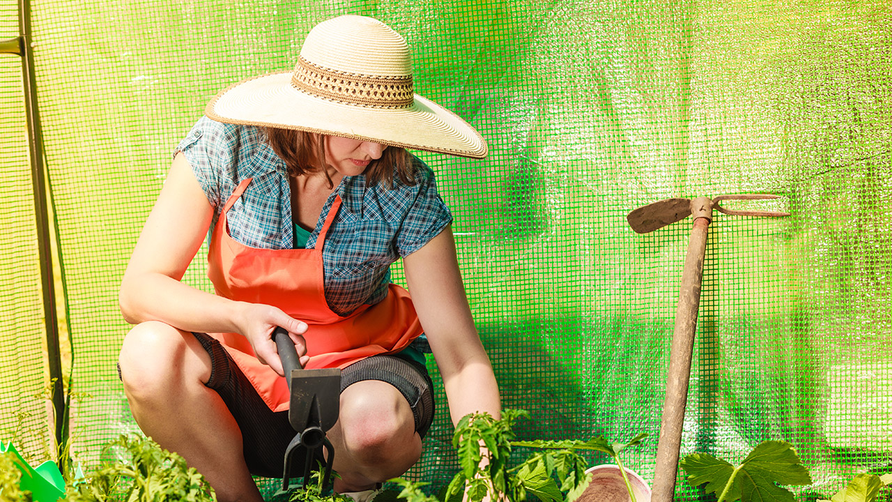 6-tips-to-building-a-sustainable-greenhouse-floor