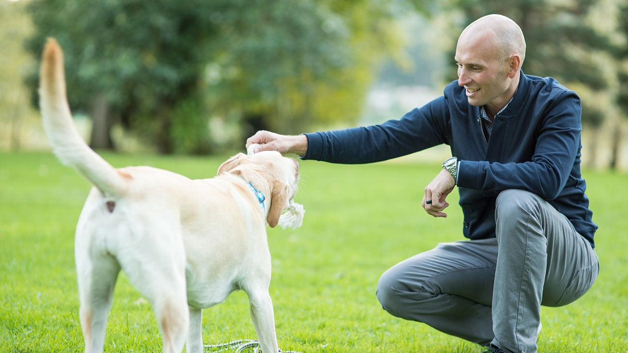 a-guide-to-proper-etiquette-for-sellers-pets