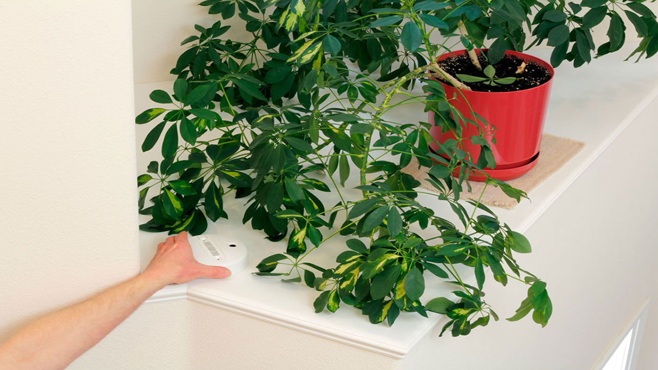 Updates Your Home Will Need Over the Years - a Timeline ...