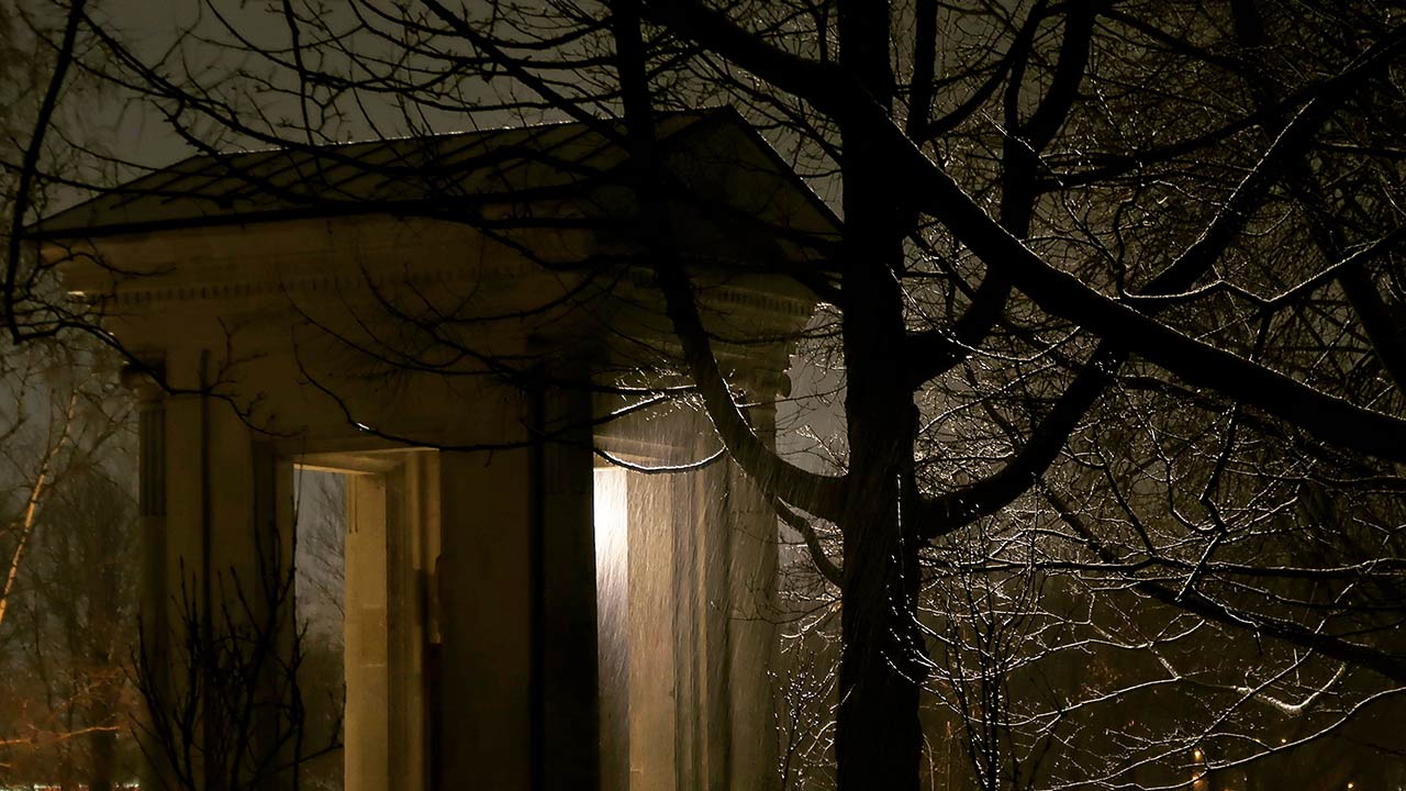 Photo of a building among the trees in the night park