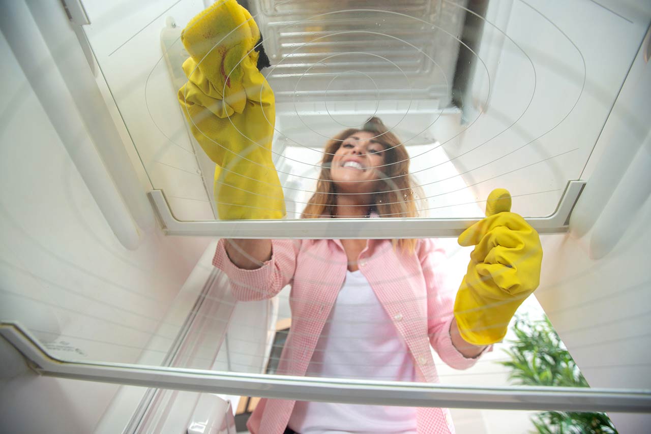 Photo of a pretty girl doing some marvelous refrigerator shelve cleaning using a sponge