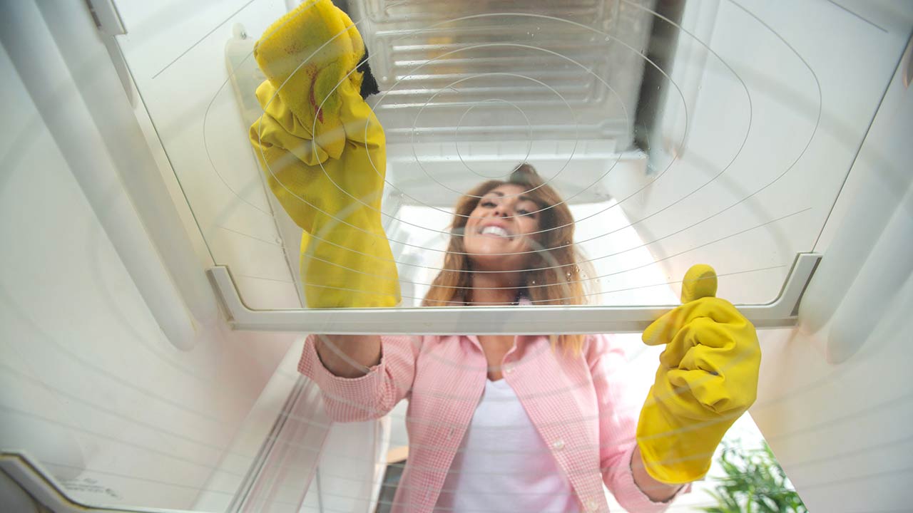 Photo of a pretty girl doing some marvelous refrigerator shelve cleaning using a sponge