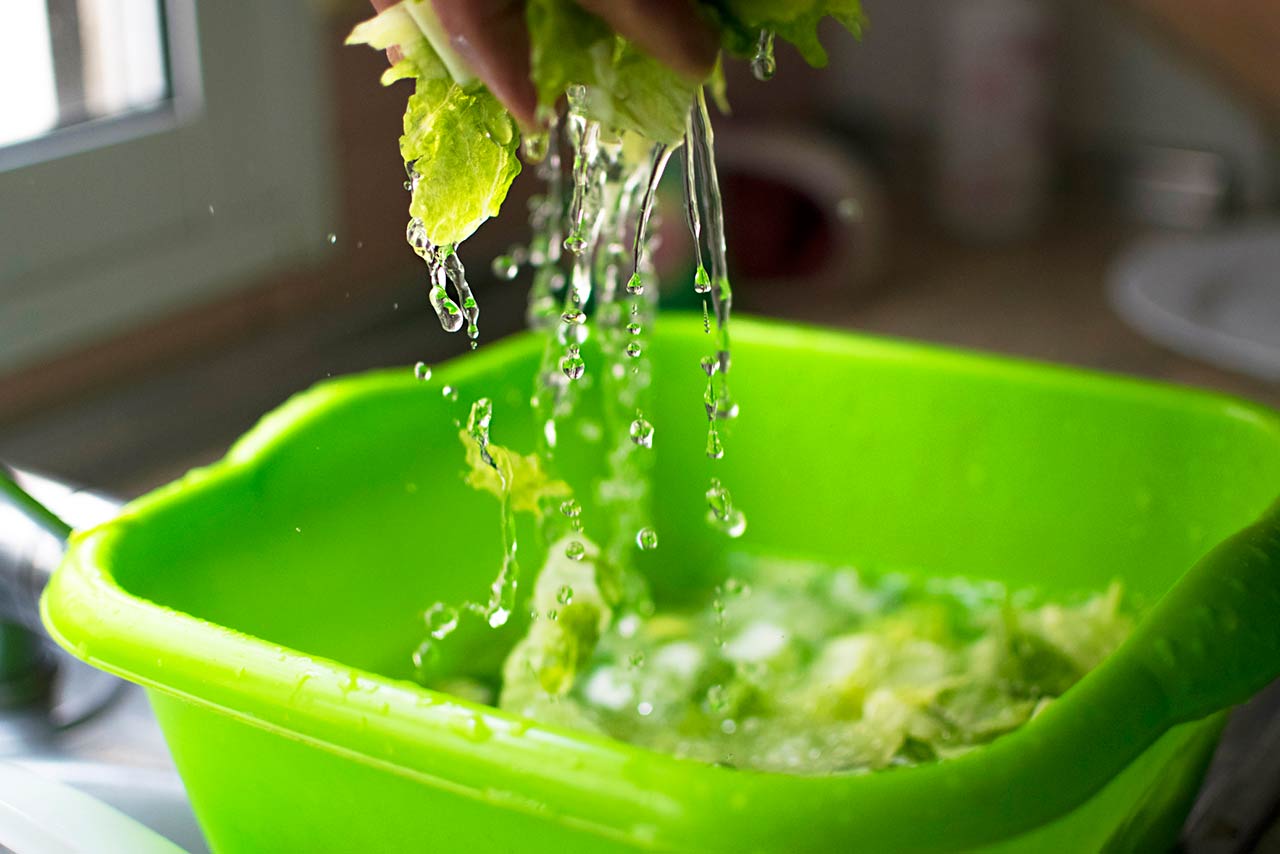 Photo of washed and sanitized lettuce. Drops of water and pieces of lettuce in motion falling into a green pot.