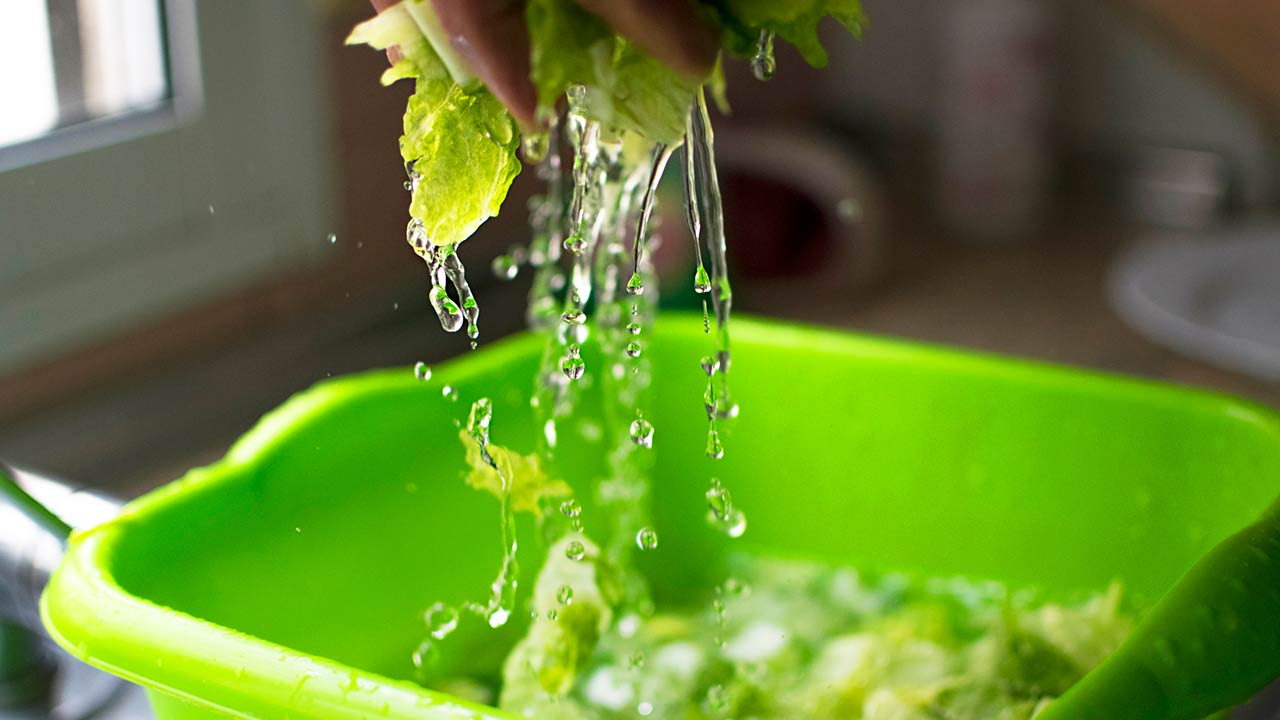 Photo of washed and sanitized lettuce. Drops of water and pieces of lettuce in motion falling into a green pot.