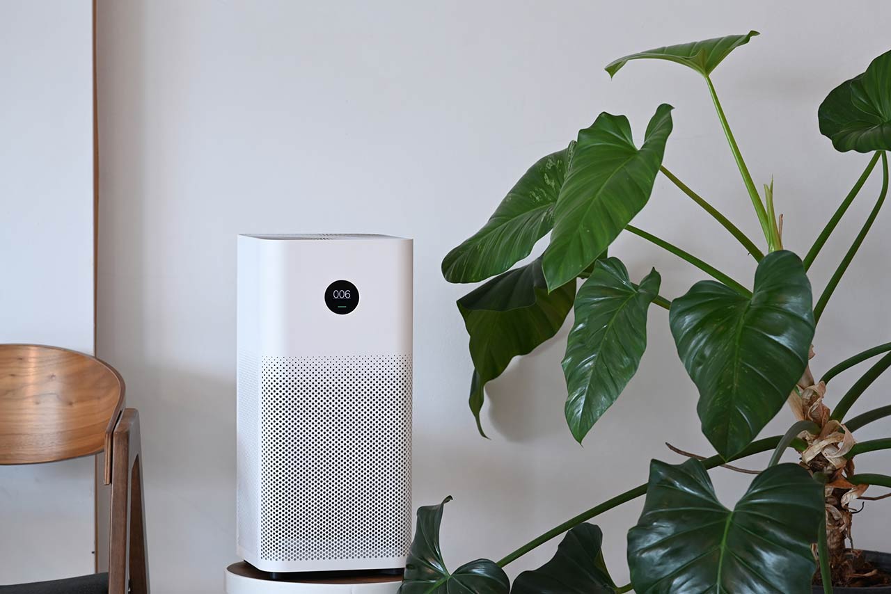 Air purifier and houseplant in living room. For fresh air and healthy life concept.