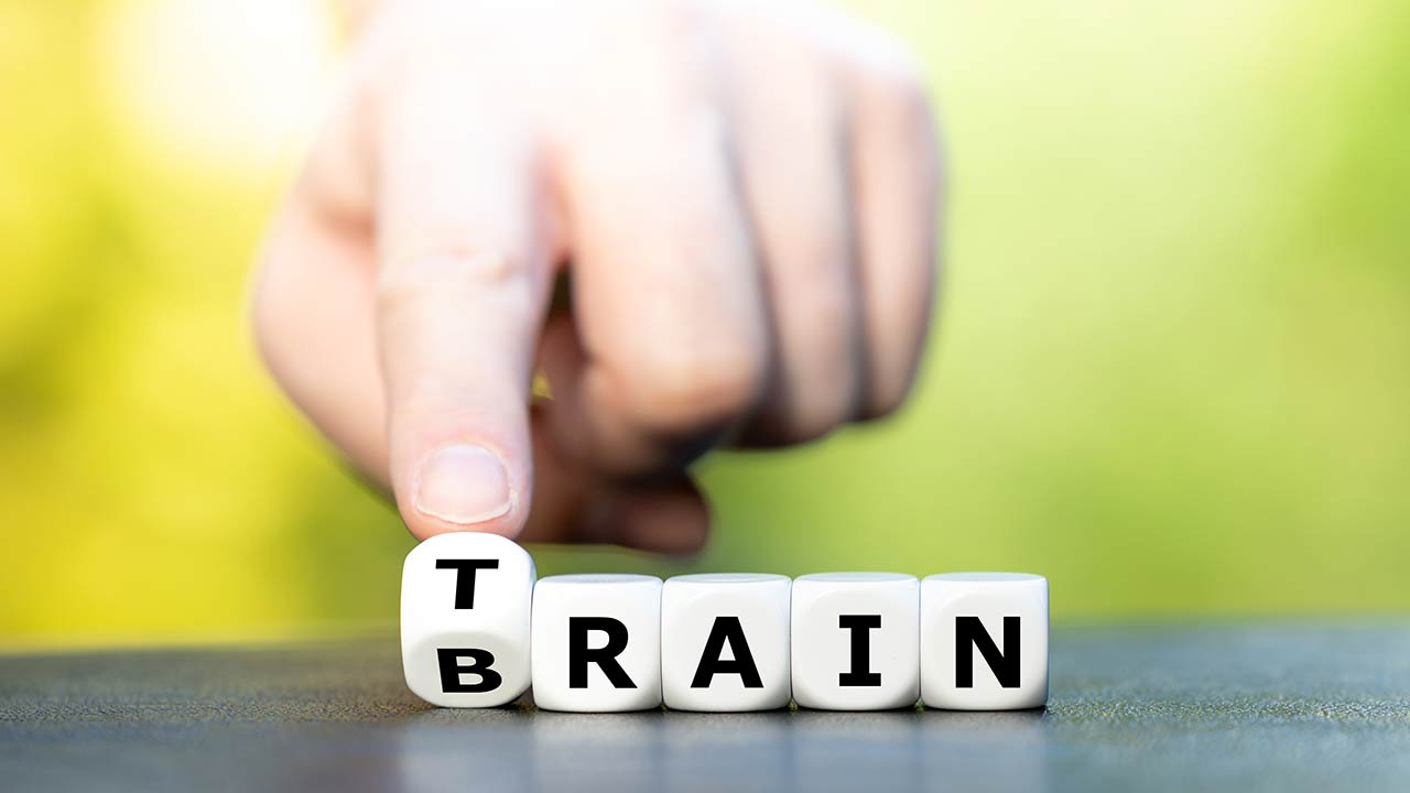Train your brain. Dice form the words train and brain.