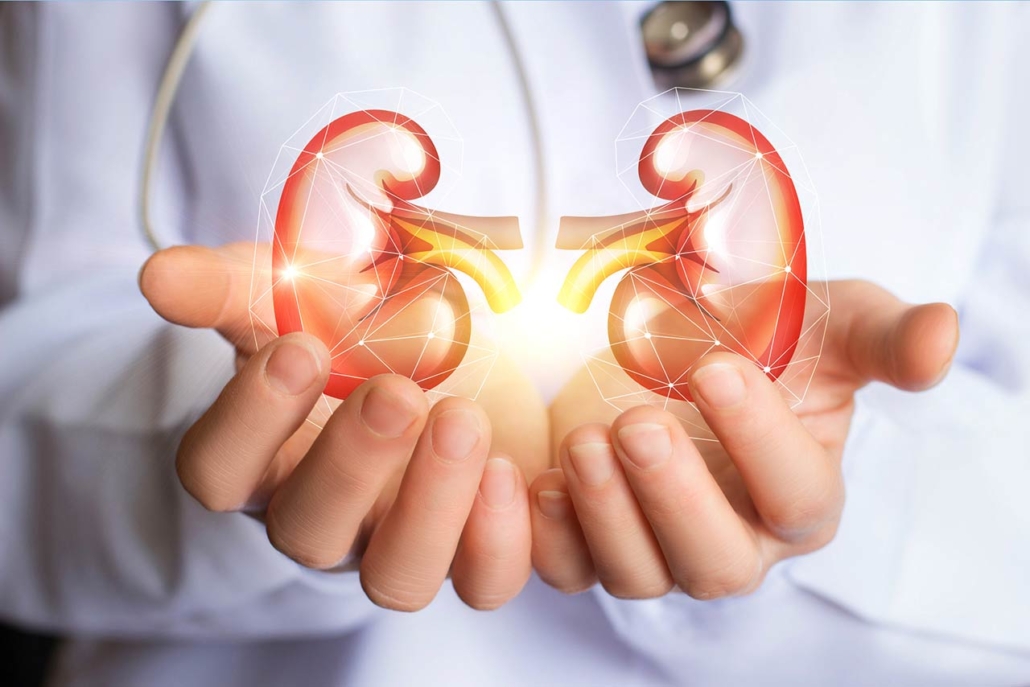 Doctor supports kidneys healthy concept design
