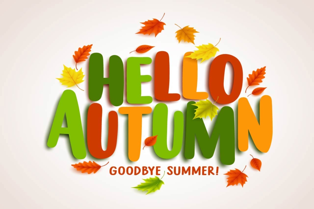 Hello autumn vector banner design with colorful maple leaves elements and text greetings for fall season