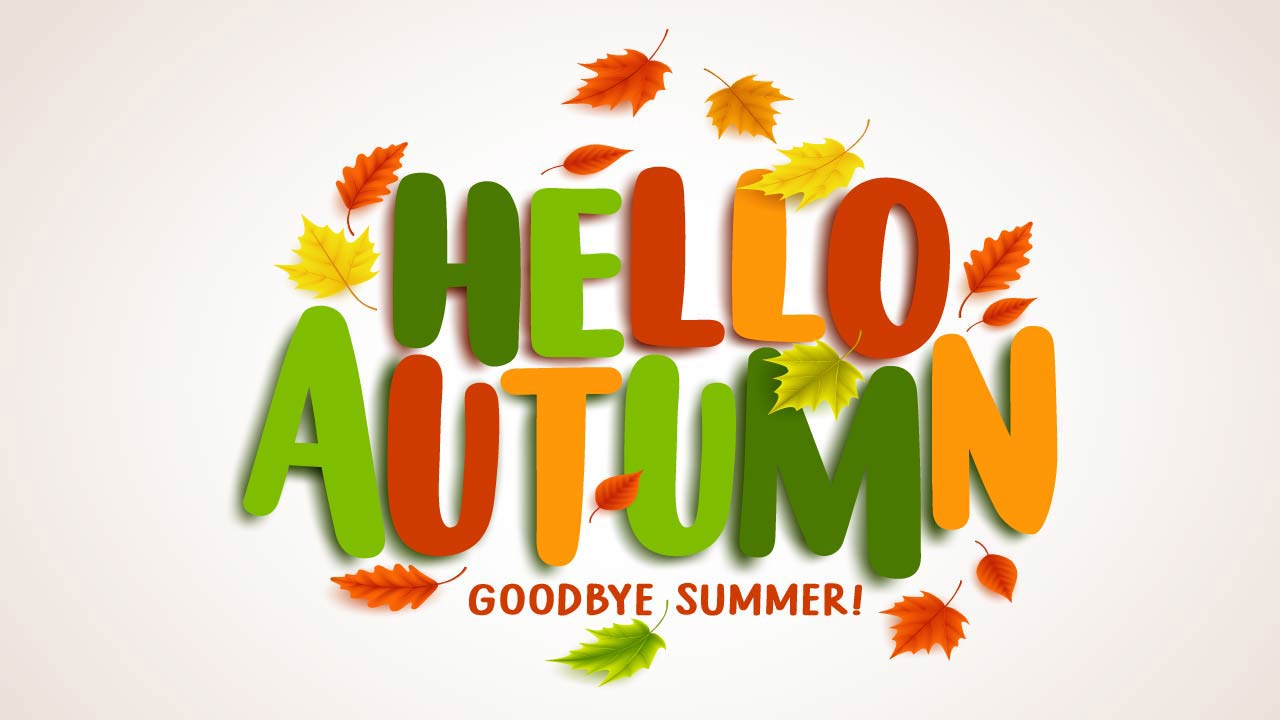 Hello autumn vector banner design with colorful maple leaves elements and text greetings for fall season