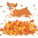 Illustration of a cute funny corgi dog jumping over a pile of autumn leaves