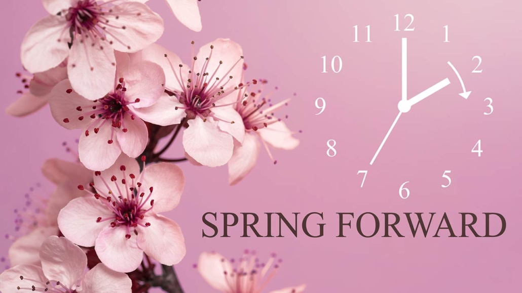 spring blossoms on mauve background with a daylight saving time begins concept