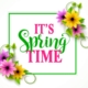 spring time vector banner with boarder in colorful realistic flowers