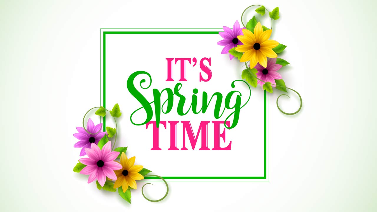 THIS WEEKEND IN CHICAGO – Embracing Spring’s Colorful Season! - Dean's Team