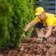 gardener taking care of garden mulch