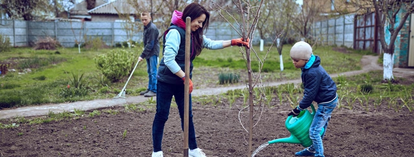 Family planting a tree in garden at backyard