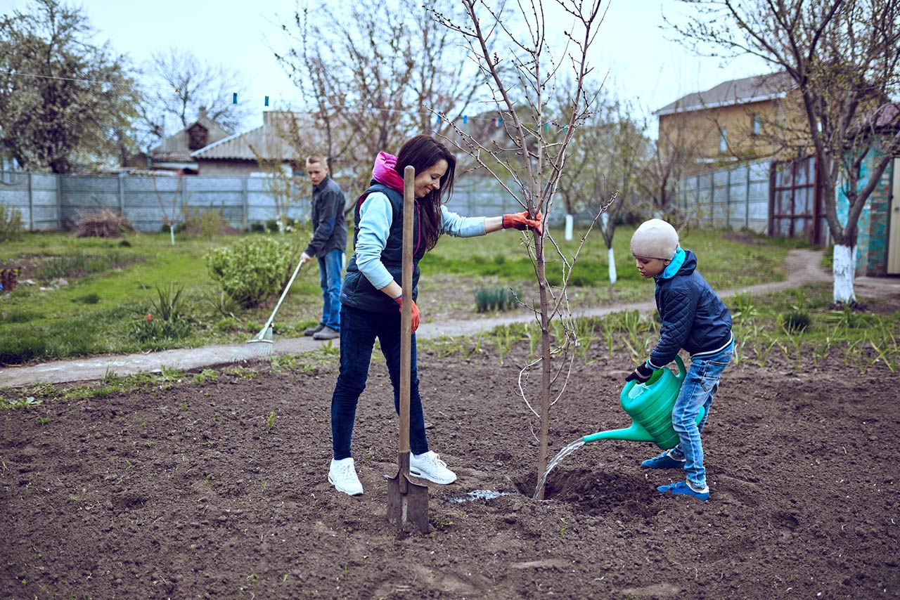Family planting a tree in garden at backyard