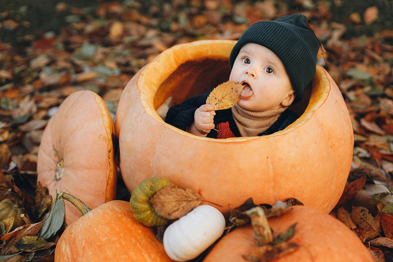 Adorable baby boy playing in big pumpkin and autumn leaves in fall park