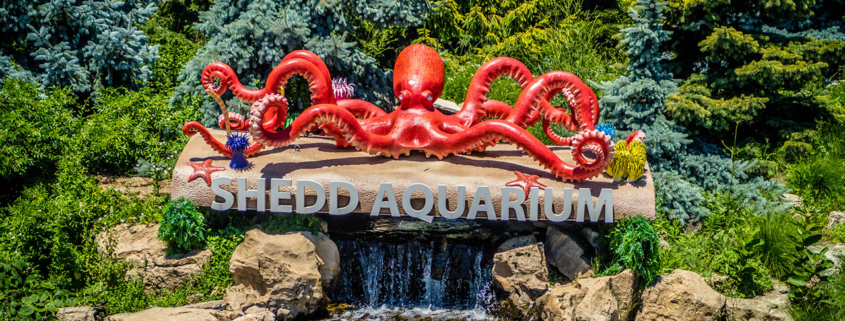 A huge public display of water creatures in Chicago, Illinois stock photo
