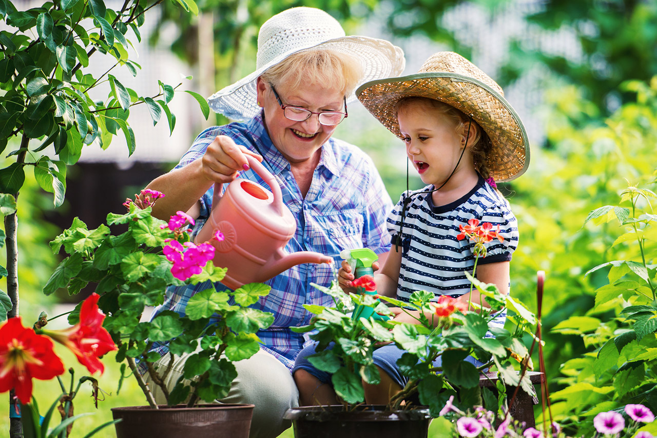 Senior woman and her grandchild working in the garden with a plants