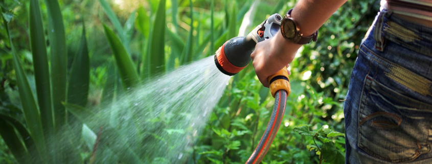 Watering garden stock photo