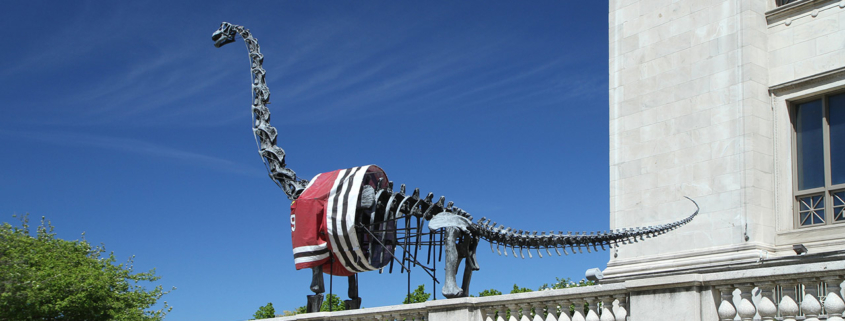 Brachiosaurus in a Chicago Blackhawks jersey at the Field Museum stock photo