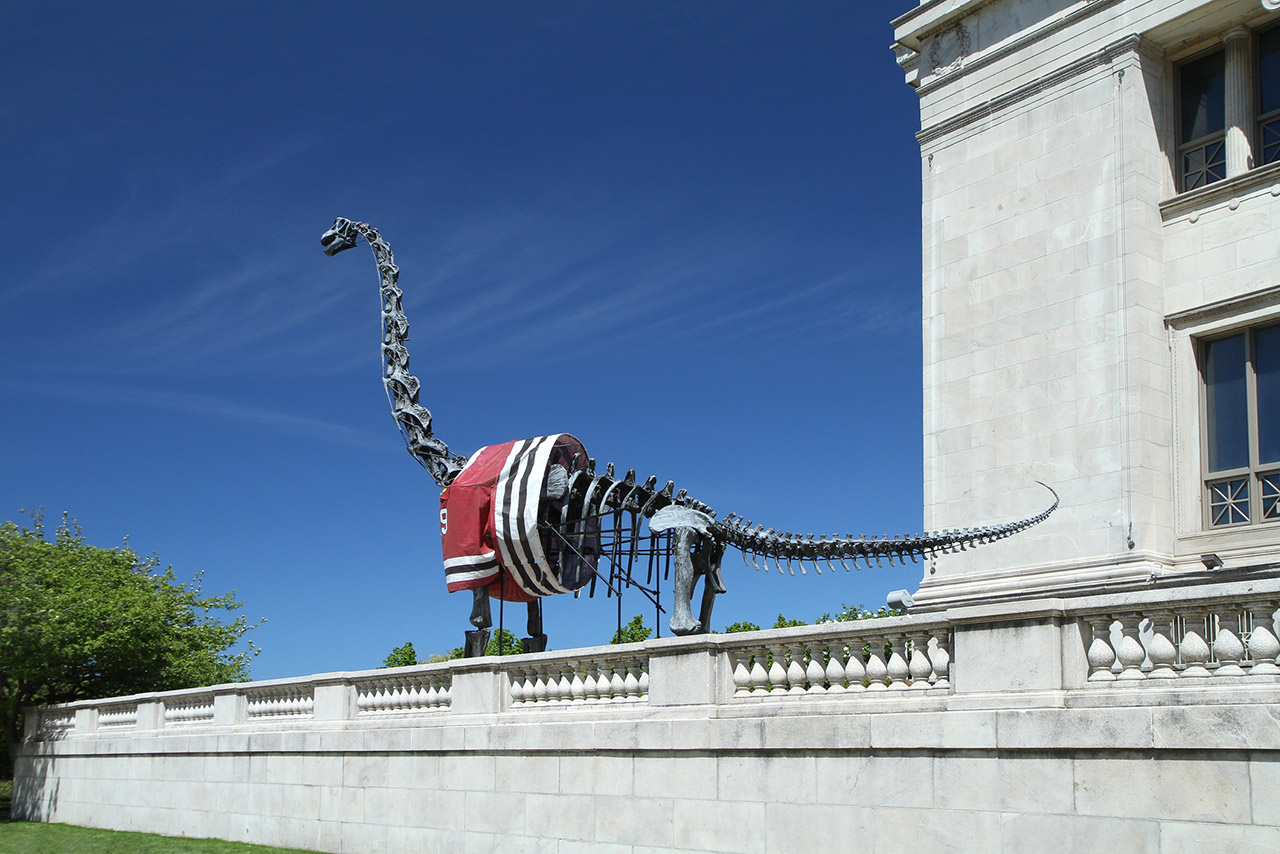 Brachiosaurus in a Chicago Blackhawks jersey at the Field Museum stock photo
