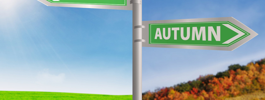 Summer and autumn road sign stock photo