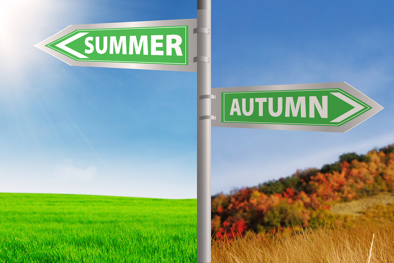 Summer and autumn road sign stock photo
